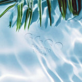 Garrett Leight / Collector's Case / Oasis
