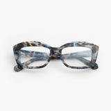Rewind / Back to the Future / Brown and Blue Tortoise