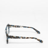Rewind / Back to the Future / Brown and Blue Tortoise