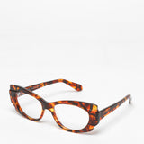 Rewind / Chaos Theory / Tortoiseshell