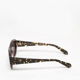 Rewind / Interstellar / Transparent Marsala Red with Dark Tortoise