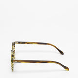 Spectaculars / Sandy 46 / Olive Tortoise