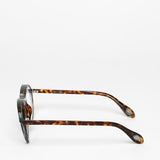 Theo / Aube / 019 Brown Red + Transparent Sea Pine Grey