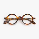 Theo / Mille + 88 / 004 Brown Dalmatian