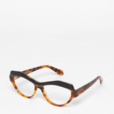 Rewind / The Butterfly Effect / Tortoise and Black