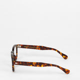 Moscot / Lemtosh / Tortoise - I Visionari