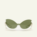Paloceras / Exuva / Green