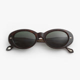 Daizo / Jules / Havana Dark