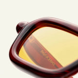Paloceras / Amber Havana S2