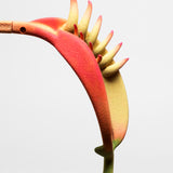 Venus Trap by 8IGB x Parasite / Multicolors