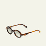 Paloceras / Havana Gold R2