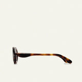 Paloceras / Havana Gold R2