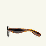 Paloceras / Pebble / Crystal Toffee  DX