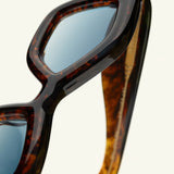 Paloceras / Pebble / Crystal Toffee  DX