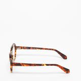 Rewind / Gravity / Orange Spotted Tortoise