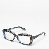 Rewind / Back to the Future / Brown and Blue Tortoise