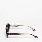 Daizo / Jules / Havana Dark