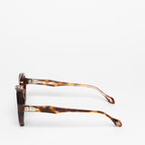 Daizo / Koji / Havana Classic