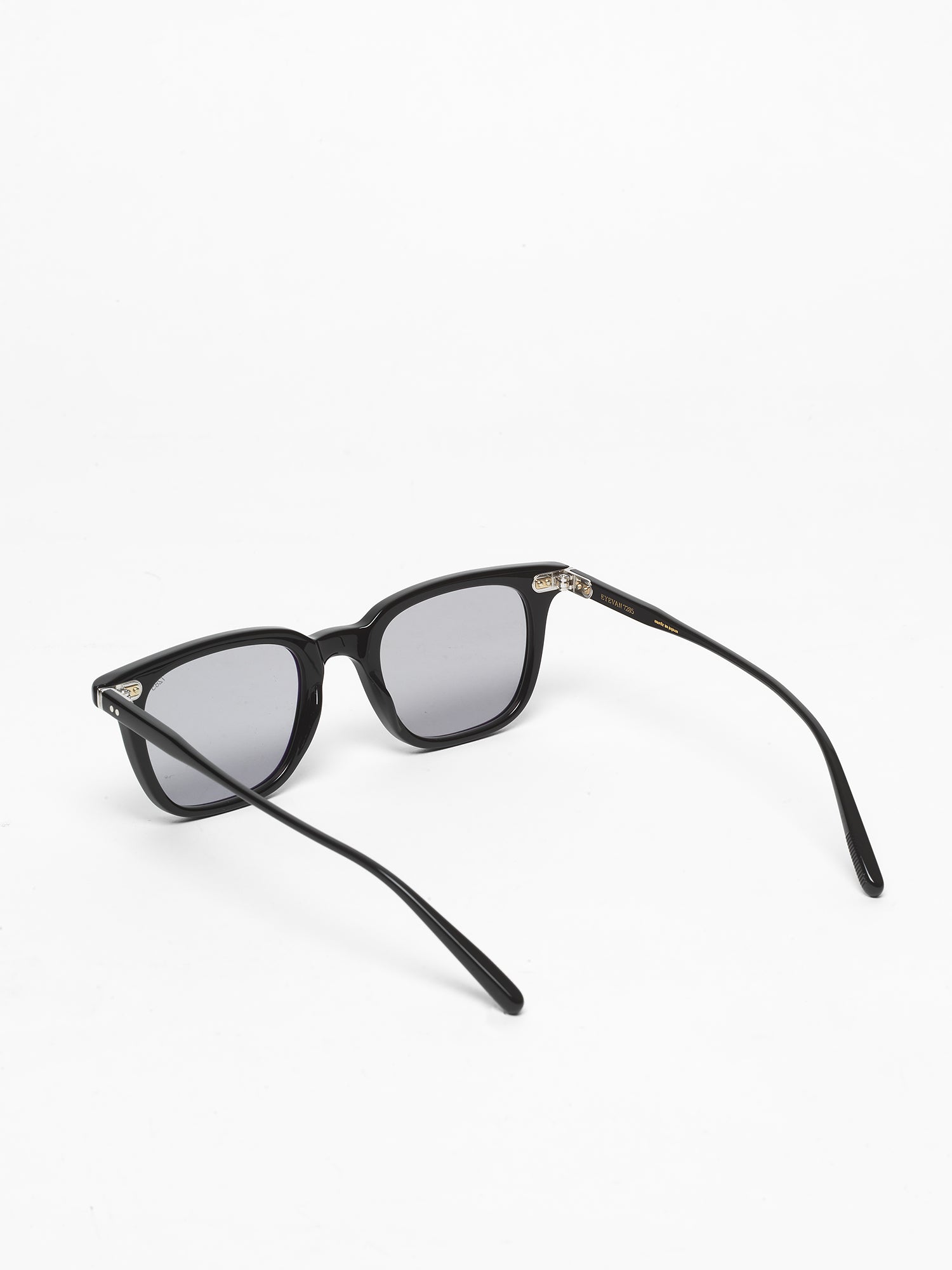 Eyevan 7285 / 359E / 100 – I Visionari