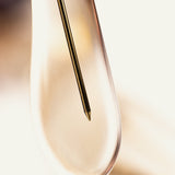 Paloceras / Pebble / Dulce Gloss RX