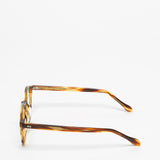 Spectaculars / Sandy 46 / Tortoiseshell