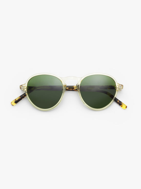 Moscot / Bluma / Citron Tortoise