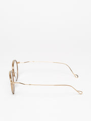 Gouverneur Audigier / Conventus Pantos / Champagne Gold Chestnut