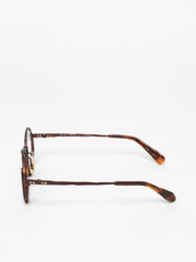 Masahiro Maruyama / 0053 No. 2  / Havana Brown