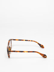 Theo / Mille + 89 / 004 Brown Dalmatian